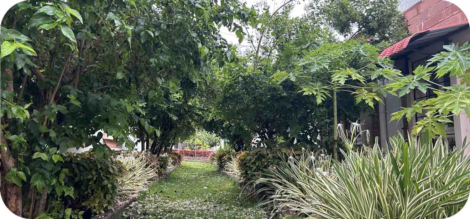 Sree Senior Homes