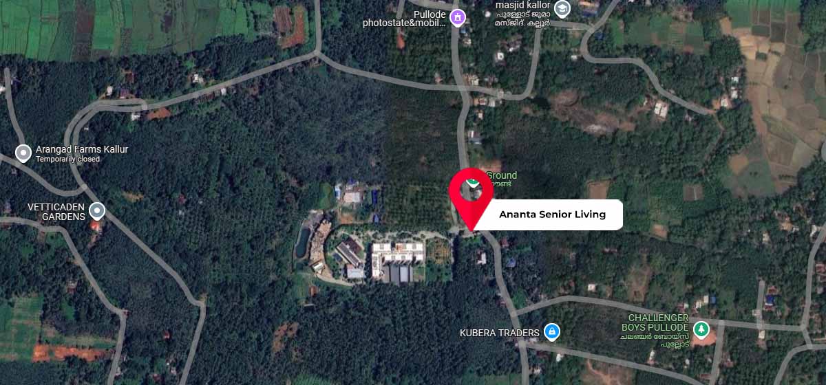 Ananta Living google map location