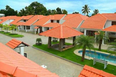Felycity Palm County
