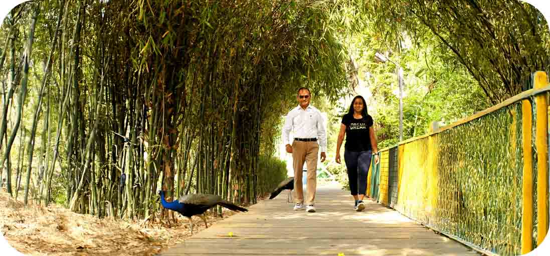 Vardaan Senior Living