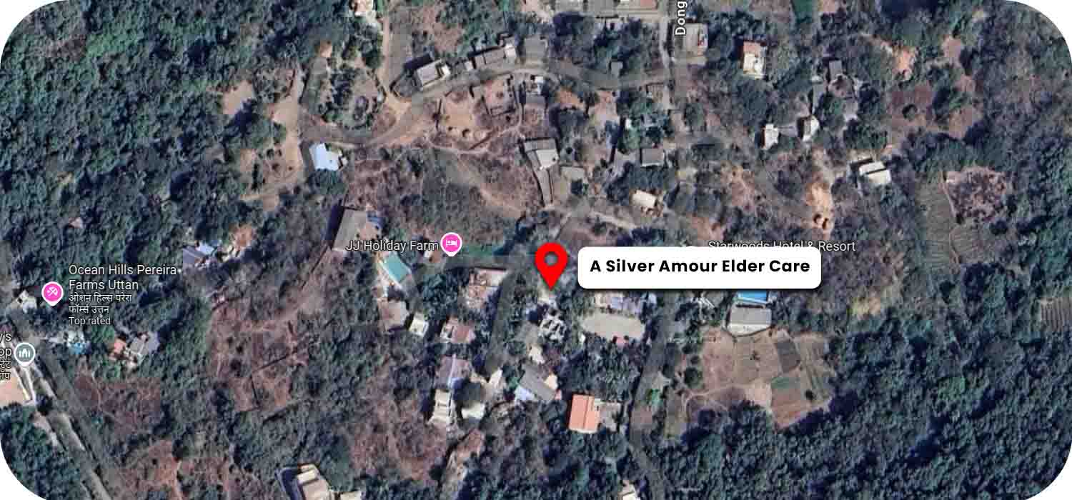 A Silver Amore Elder Care google map location
