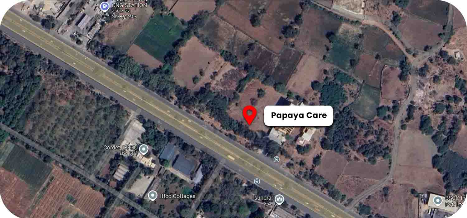 Papaya Care google map location