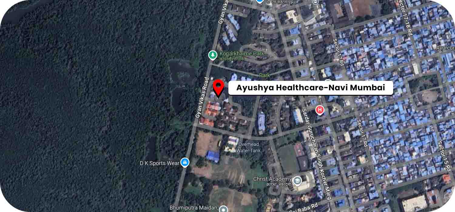Ayushya Home Healthcare google map location
