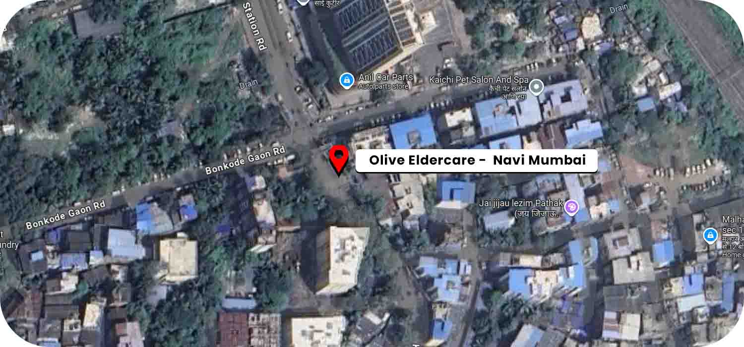 Olive Eldercare (Navi Mumbai) google map location