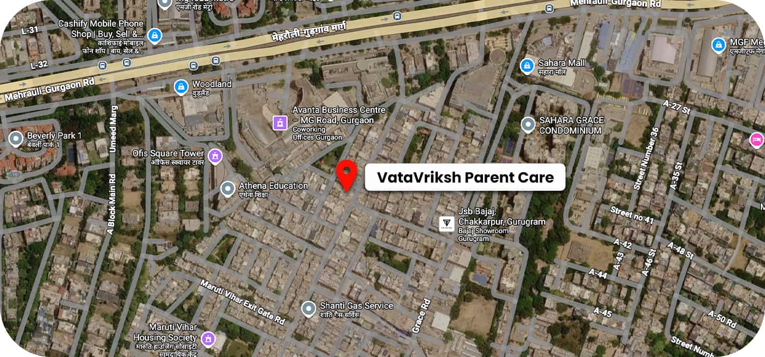 VataVriksh Parent Care google map location